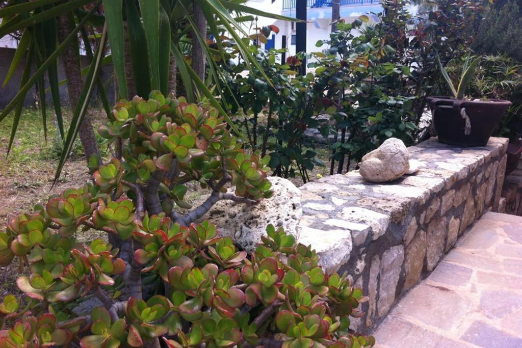 Mini Villas Green Keratokampos Extérieur photo