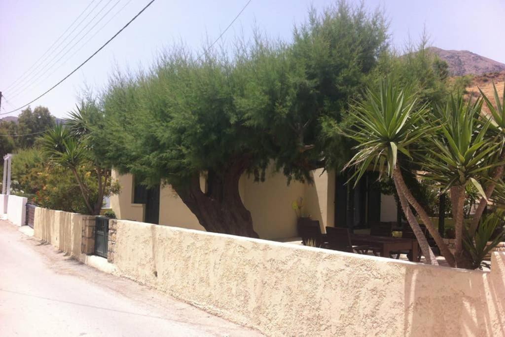 Mini Villas Green Keratokampos Extérieur photo